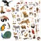 Wild Animals Stickers 750 Count Safari Jungle Animal Woodland Wildlife Zoo